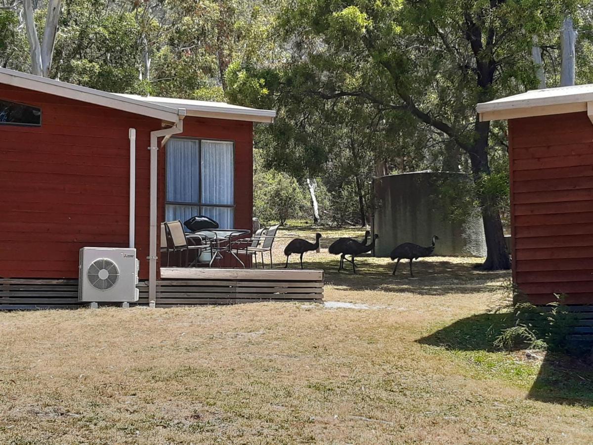 Wonderland Cottages Halls Gap Εξωτερικό φωτογραφία